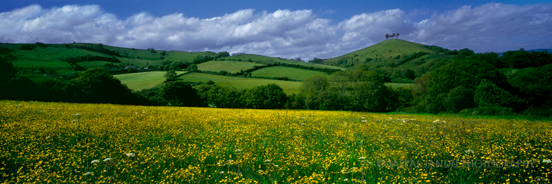 Dorset Hills